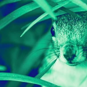 Privacy Conference 2025