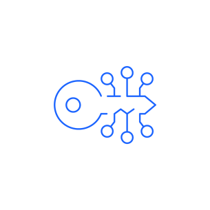 Icon-Nis-2-BDSI