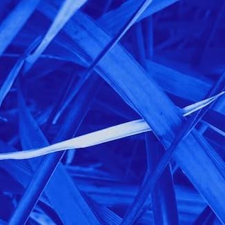 Bitkom Akademie | Nachhaltigkeit